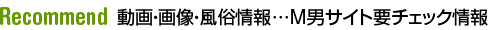 動画・画像・風俗情報…M男サイト要チェック情報